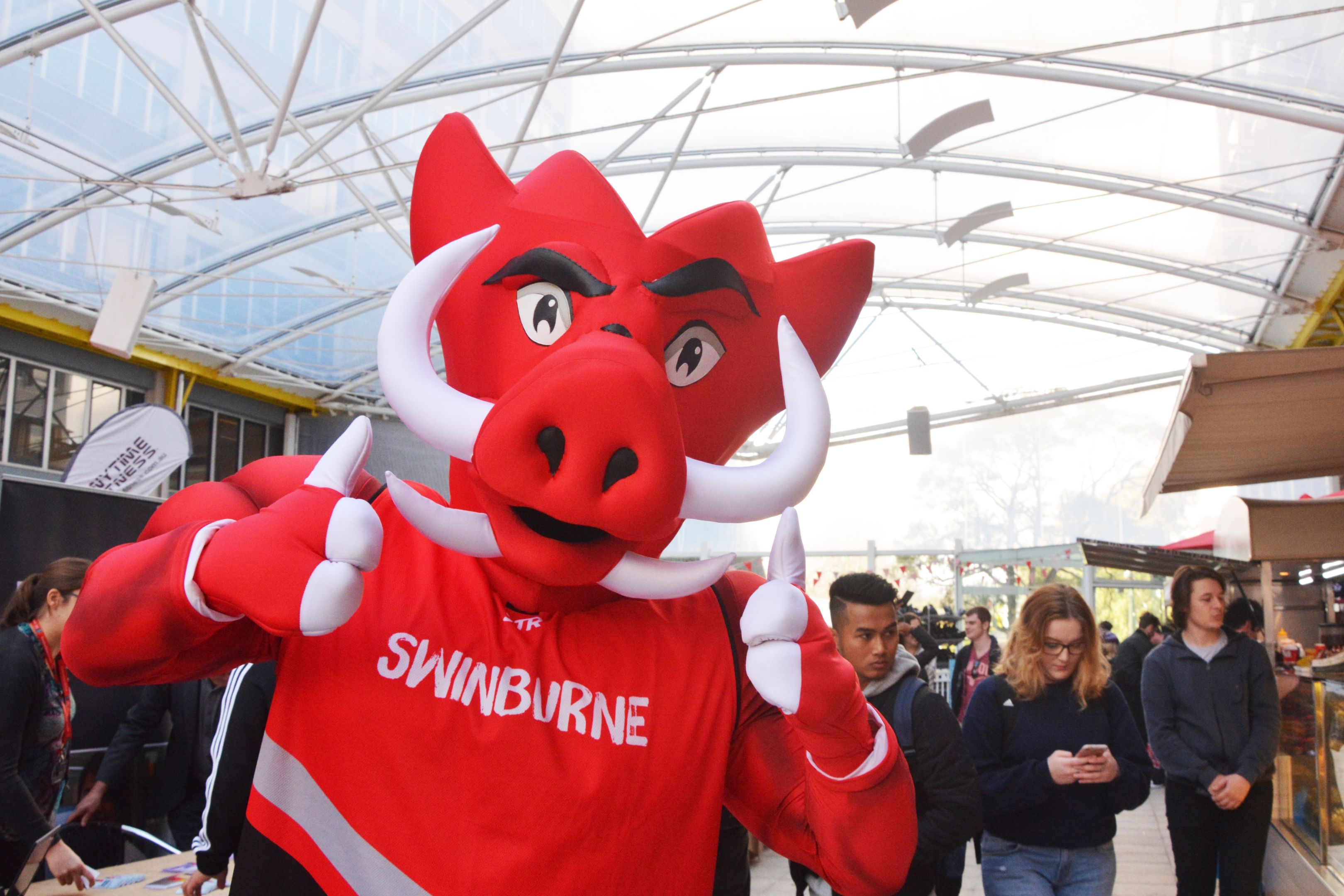 Swinburne's mascot, Razor the Razorback (a wild boar), giving the thumbs up.