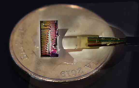 The micro-comb chip over a A$2 coin. This tiny chip produces an infrared rainbow of light, the equivalent of 80 lasers. The ribbon to the right of the image is an array of optical fibres connected to the device. The chip itself measures about 3x5 mm. 