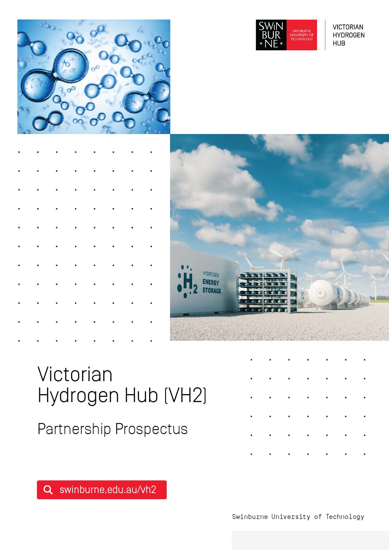 Victorian Hydrogen Hub Partnership Prospectus