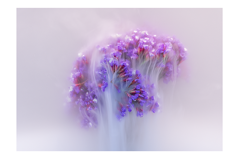 Abstract image of purple and pink flowers with soft white motion blur on a pale background