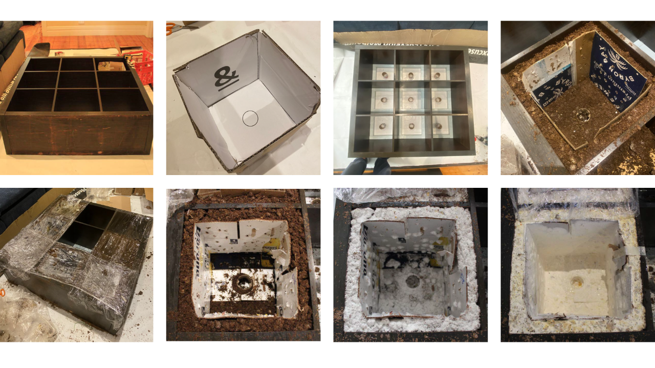 A composition of eight pictures documents the process of growing mycelium pliths using a bookshelf as a frame