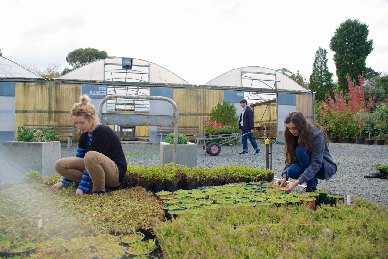 3 horticulture students gardening. 