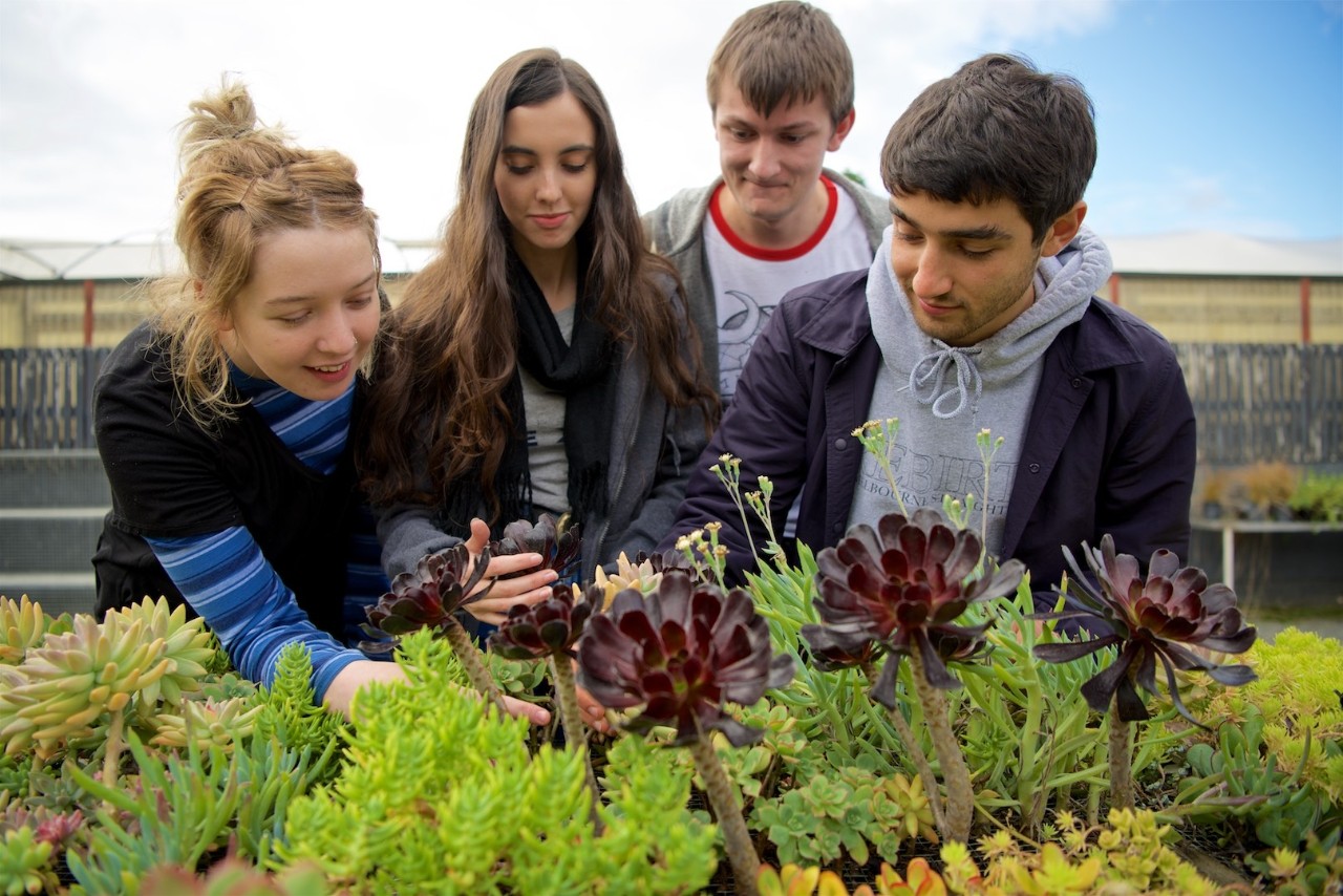 A group of Swinburne horticulture students peer over some succulents at the Wantirna campus. 